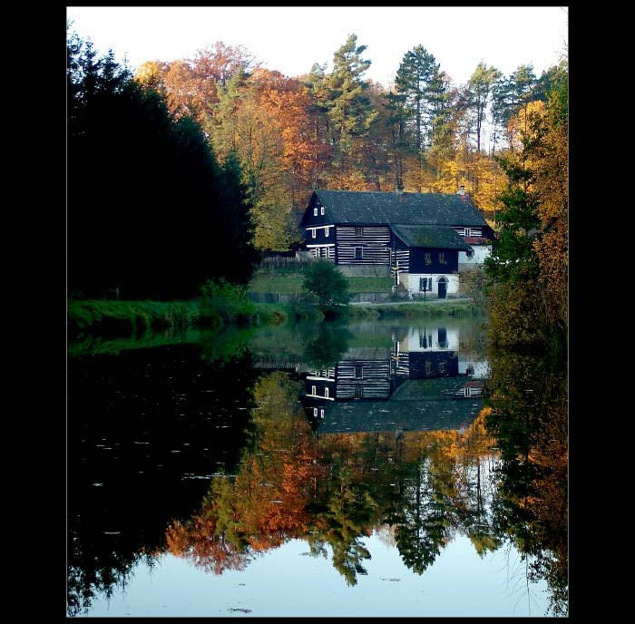 <b>...REFLEXE...</b> <hr> <b>