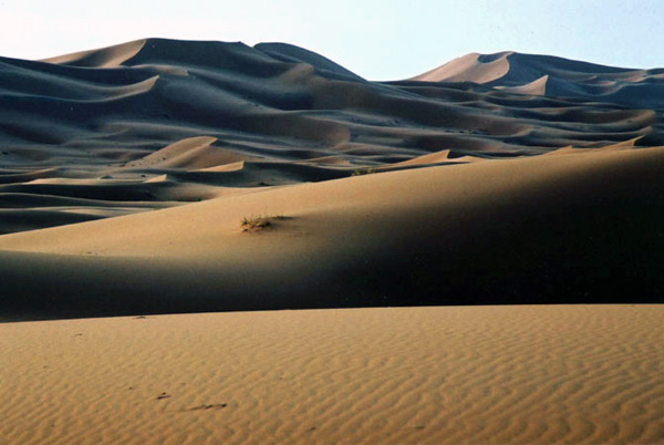Sahara