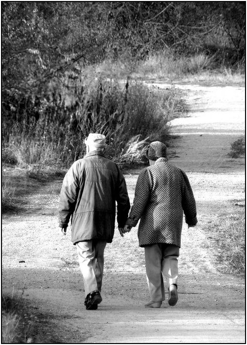 -=AUTUMN LOVE No.2=-