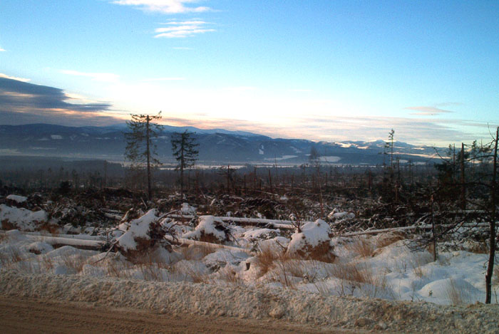 Vysoké Tatry 2004 II.