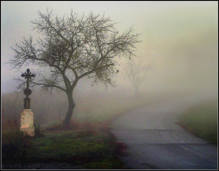 Cesta do vinohradů -2