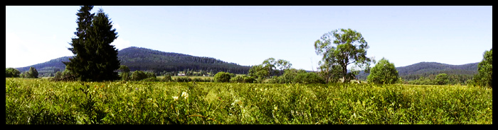 Panorama