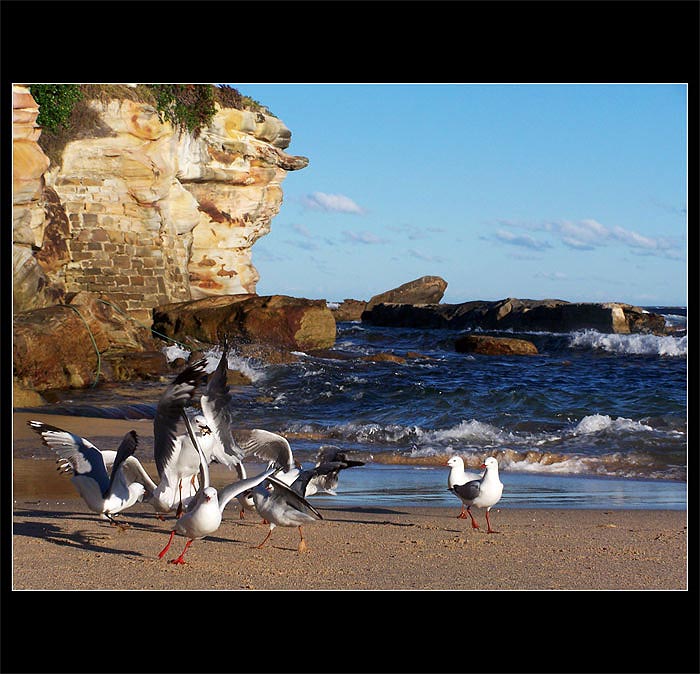 Ako chuti vitazstvo... (rohlik :o))))