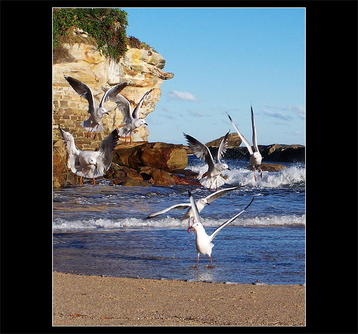 Tak kam teda poletime...