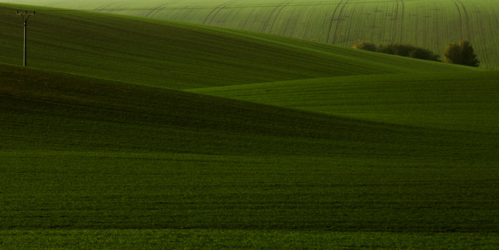 Green-fields