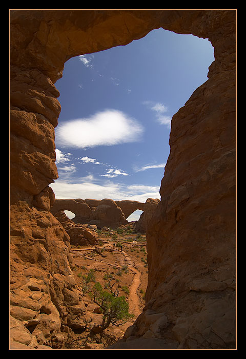 WINDOWS