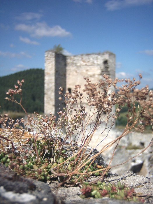 hradni eroze