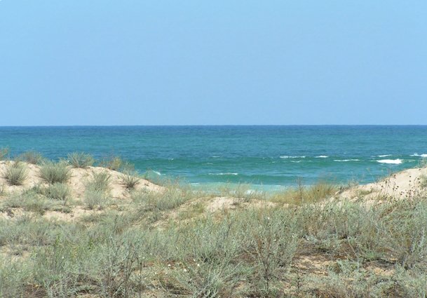 Black sea