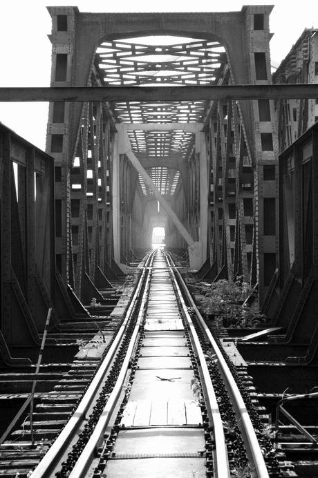 none perspective