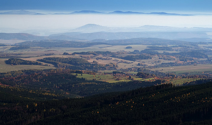 Letni podzim