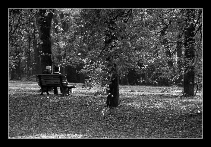 podzimní samota II.