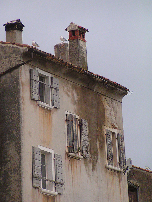 O čtyřech oknech, třech ptácích, třech komínech a jednom satelitu