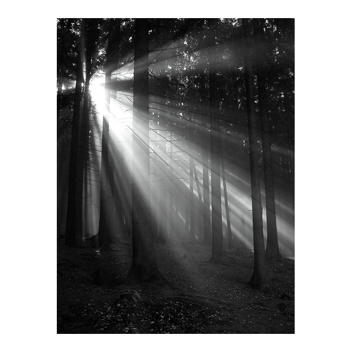 :.ENJOY THE SILENCE.: