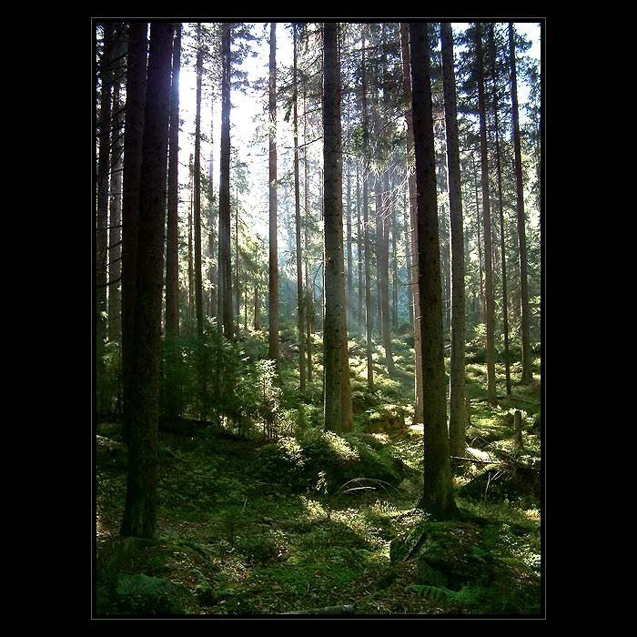 :.ENJOY THE SILENCE.:
