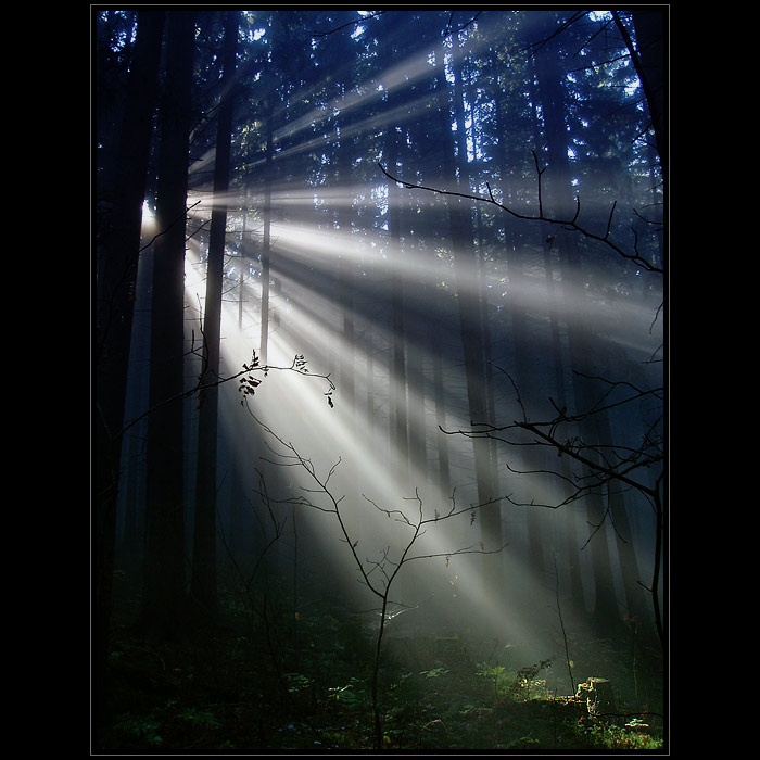 :.ENJOY THE SILENCE.: