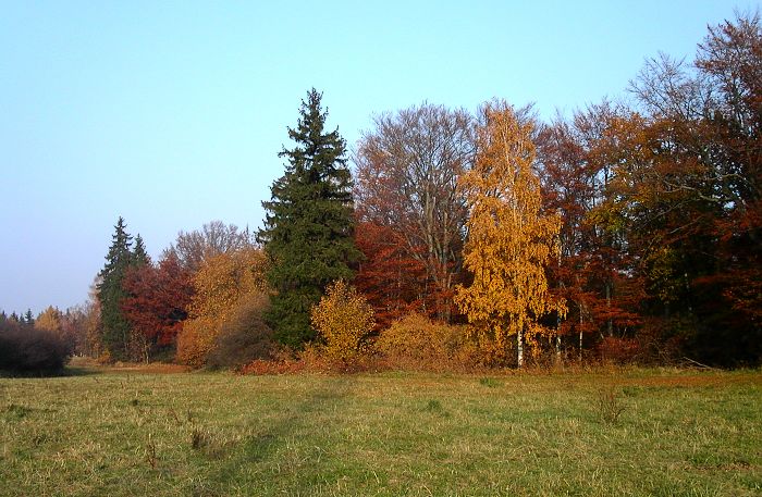 Podzim