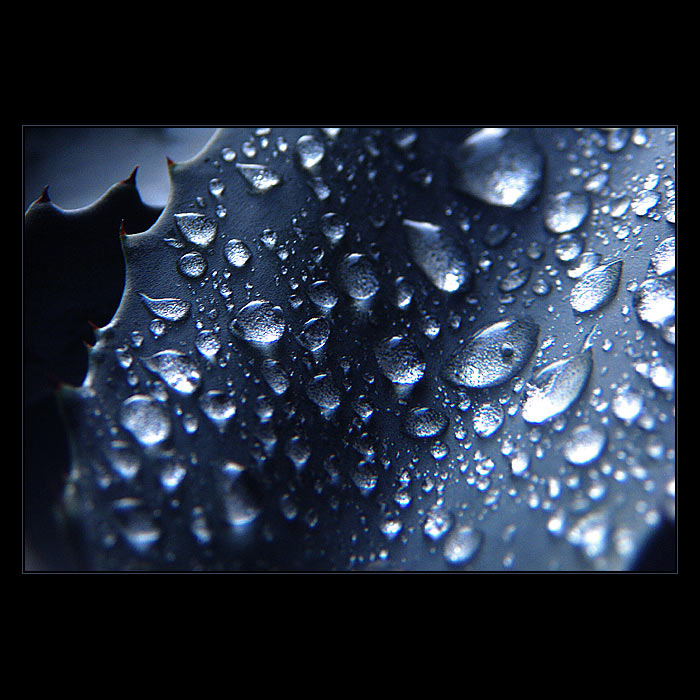 ***TEKUTÉ STŘÍBRO***
