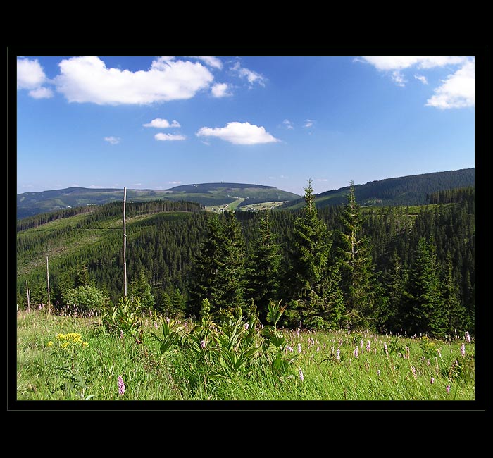 ...léto v Krkonoších