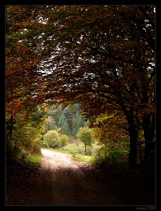 .: Nature Tunnel :.
