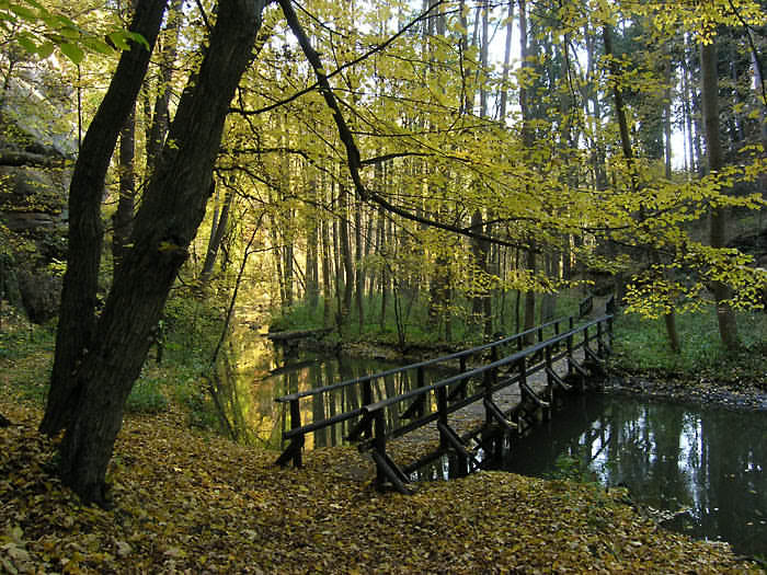 Robečský potok,českolipsko