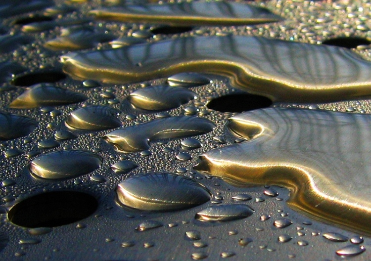 Kapky v ranním sluníčku