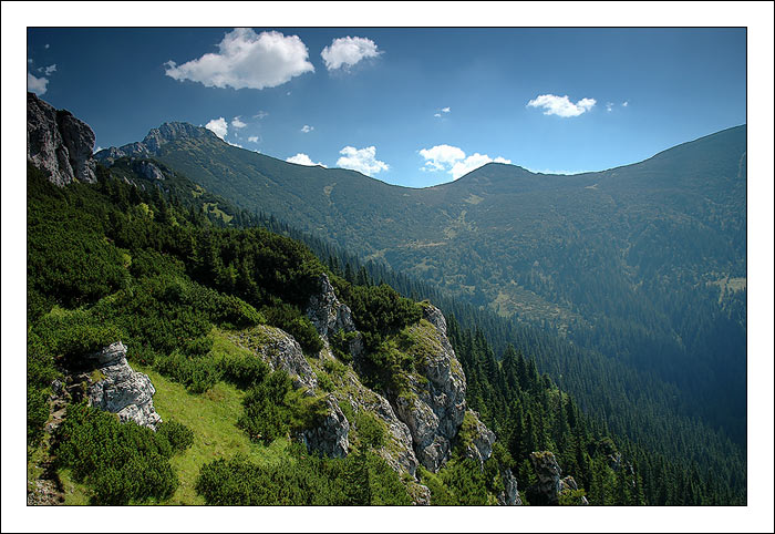 roháče XVI