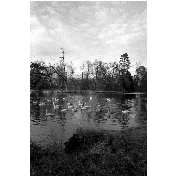 lednický park