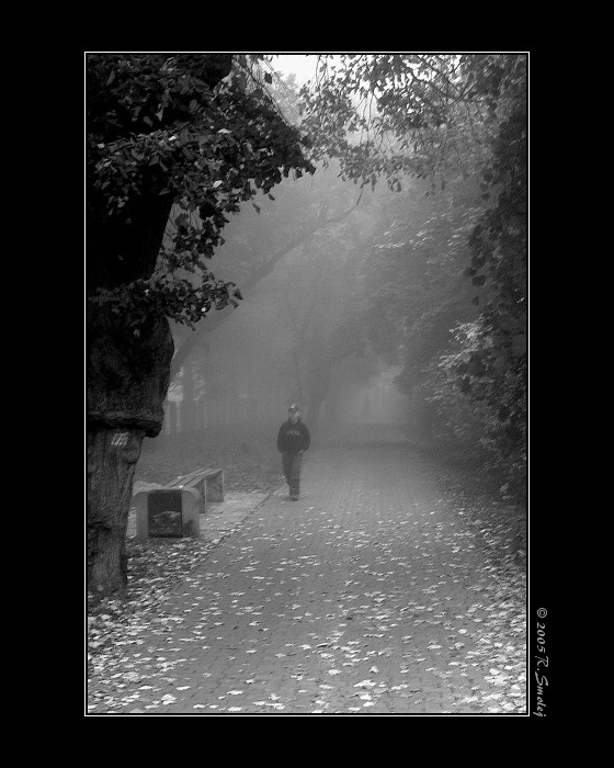 šedá cesta do školy