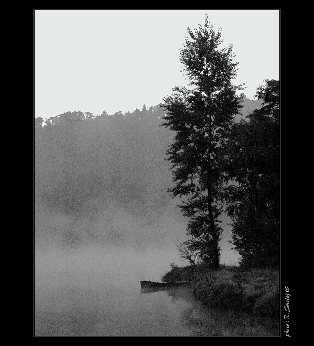 Ráno na Vltavě VII - pramice