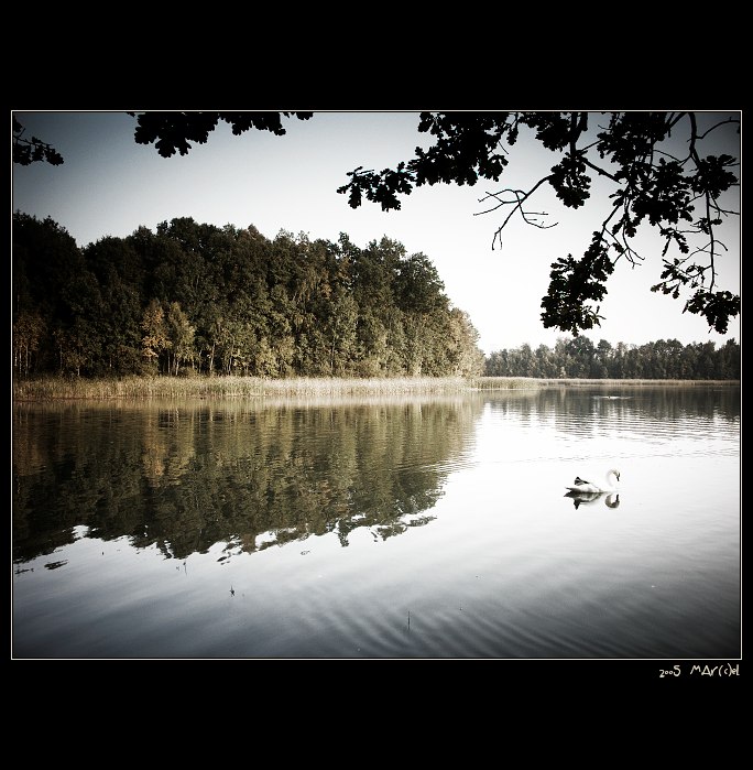 ..:: sÁm ::..