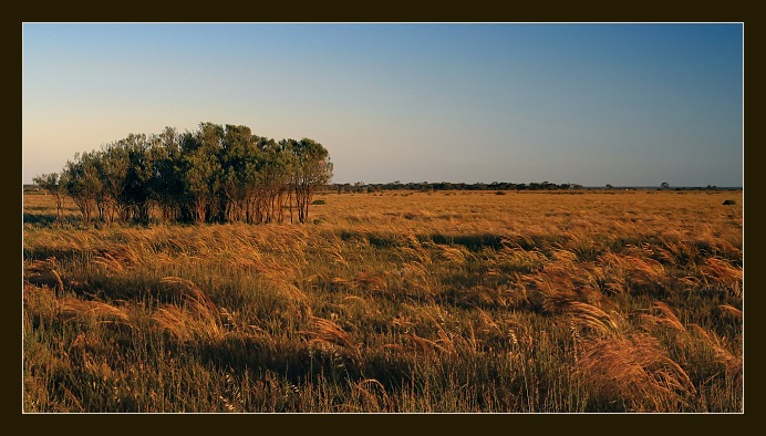 Večerní zabarvení