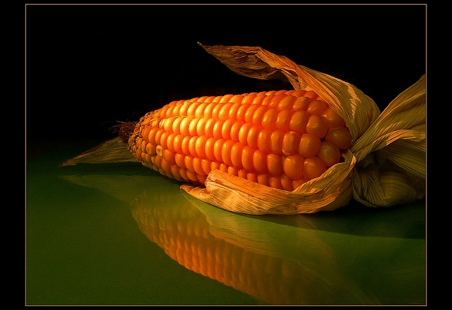 <b>** Dary podzimu ** </b>