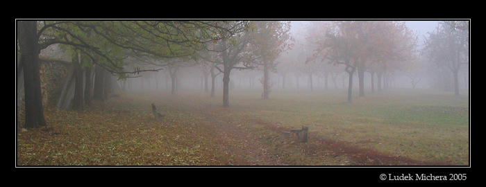 Brevnov 2005