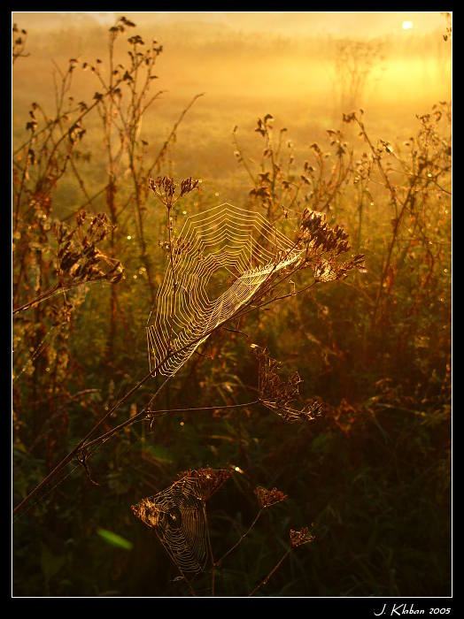 Vzpomínka na září