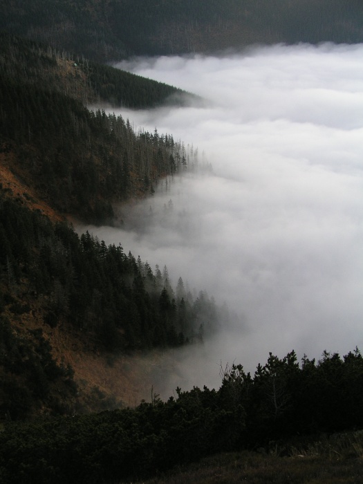 Bouře