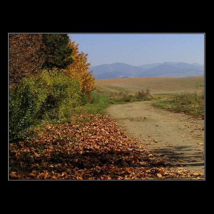 Cesta necesta
