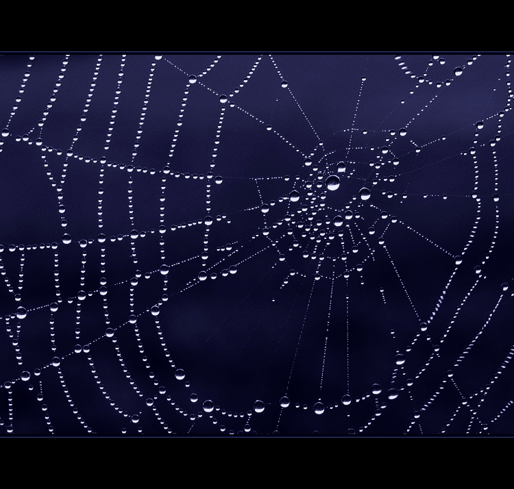 web-ofka