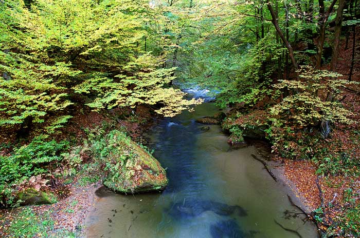 river colors #2