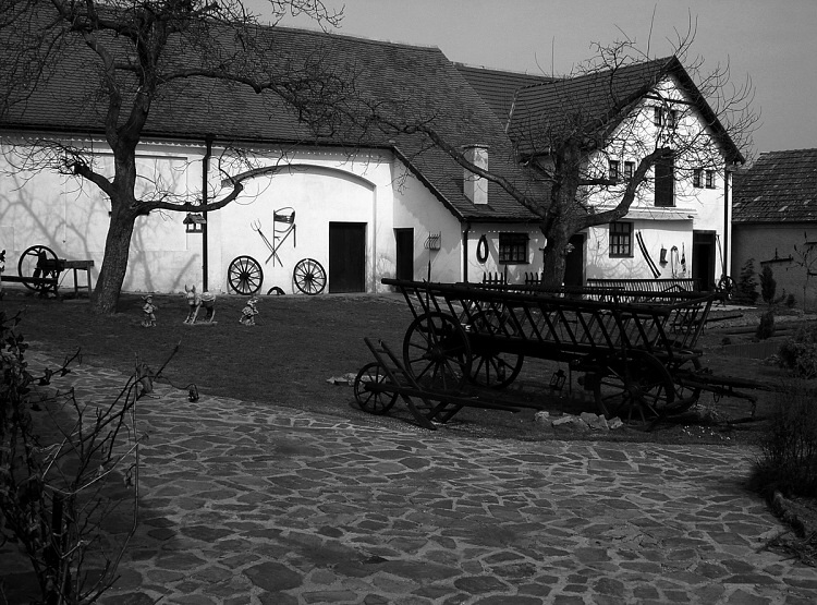 Biskoupky