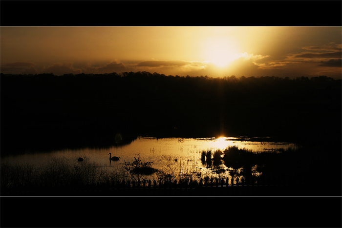***SUN-SET***