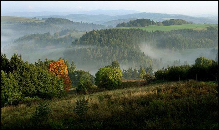 Mlhavé ráno v podhůří II