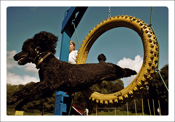 Hovor Hop! dokial nepreskocis