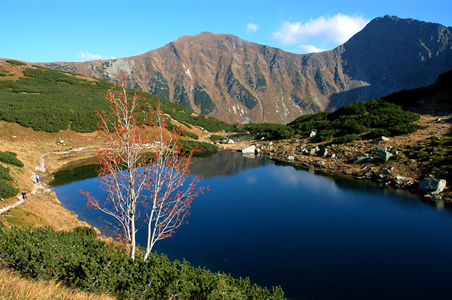 Kycovka z Rohacu aneb Tatry IV.