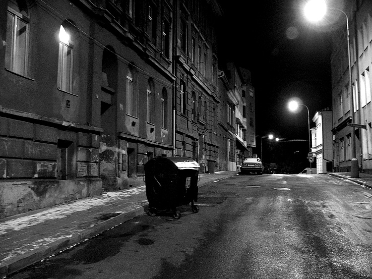 ...zátiší u popelnic...