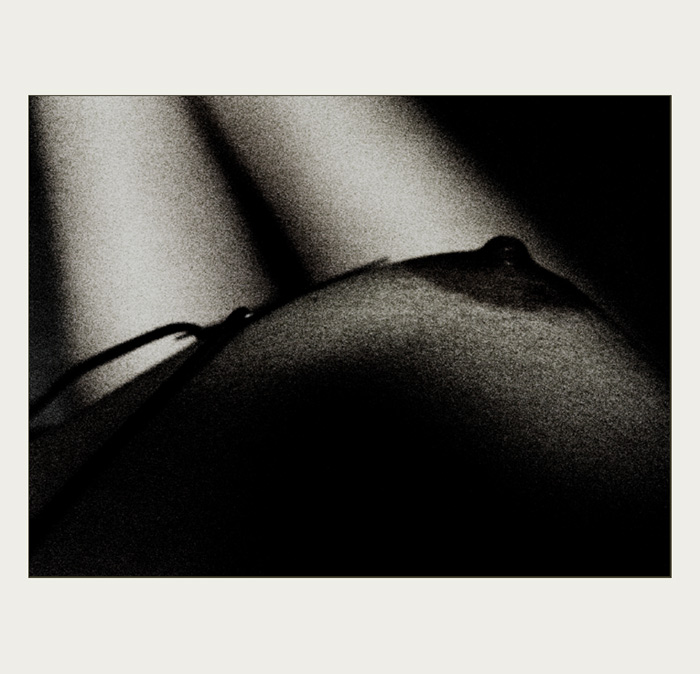 :::nocturno:::