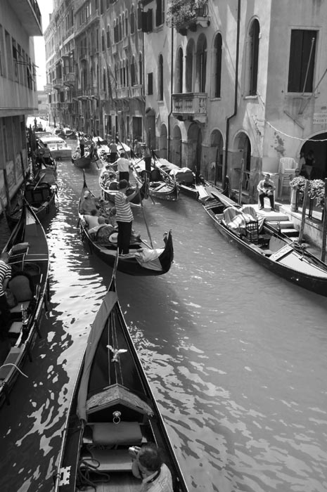 ++ VIVAT VENEZIA ++