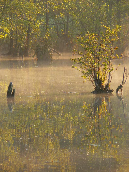 Za dnů, kdy ještě vycházelo slunce...