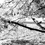 podzim in da park neasi