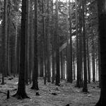 Scotty, energii (Beam me up, Scotty)!