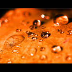 Adrenalinový zájezd...